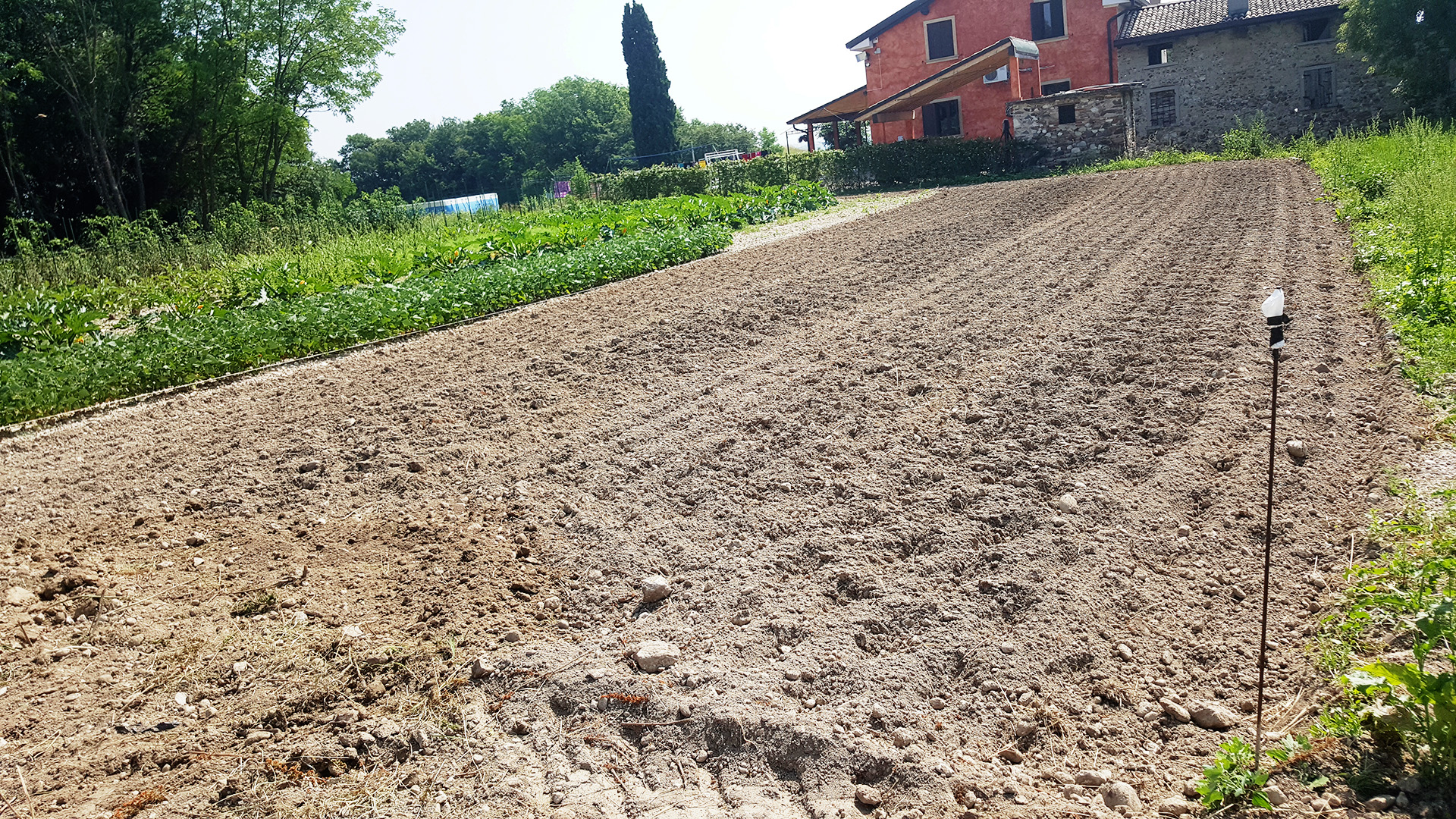 Preparazione-terreno.jpg